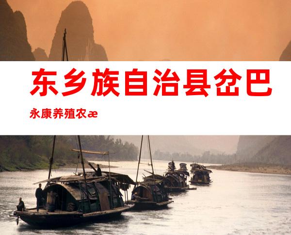 东乡族自治县岔巴永康养殖农民专业合作社