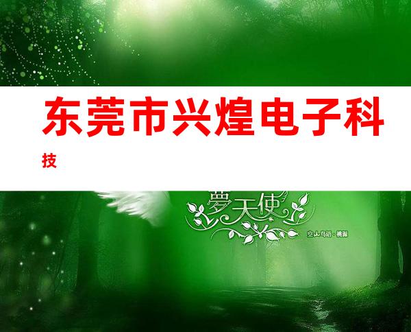 东莞市兴煌电子科技