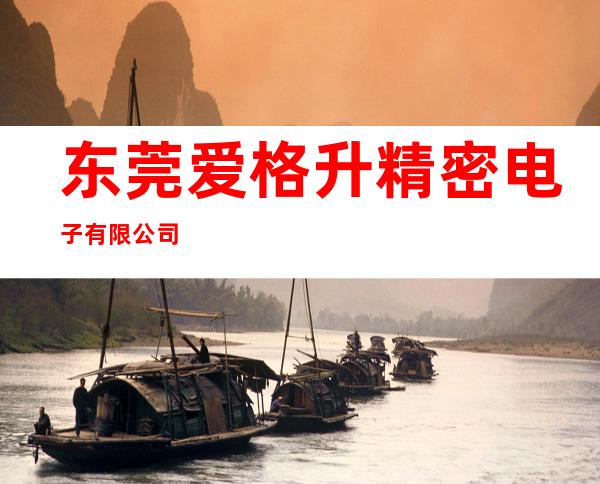 东莞爱格升精密电子有限公司