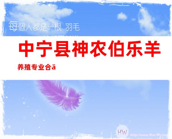 中宁县神农伯乐羊养殖专业合作社