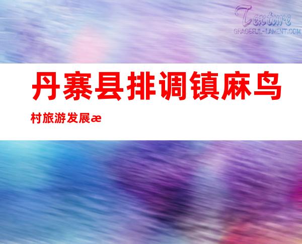 丹寨县排调镇麻鸟村旅游发展有限责任公司