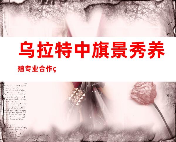 乌拉特中旗景秀养殖专业合作社