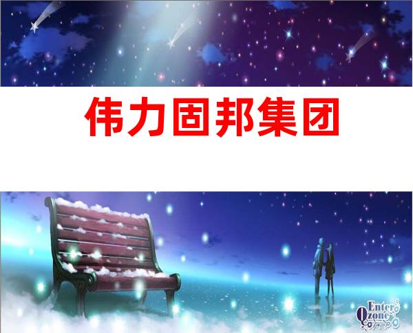 伟力固邦集团