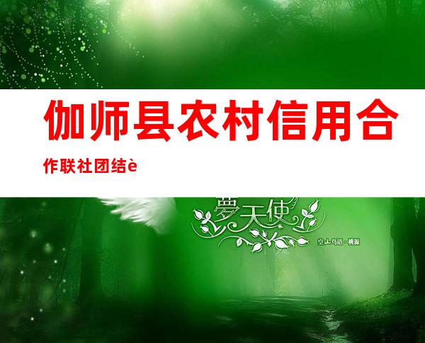 伽师县农村信用合作联社团结路信用社