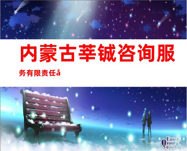 内蒙古莘铖咨询服务有限责任公司