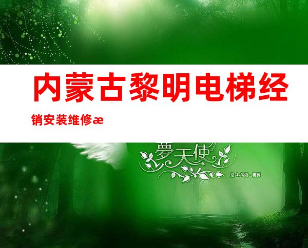 内蒙古黎明电梯经销安装维修有限责任公司