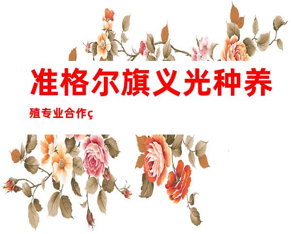 准格尔旗义光种养殖专业合作社