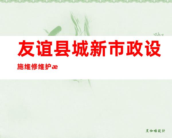 友谊县城新市政设施维修维护服务有限公司友谊分公司