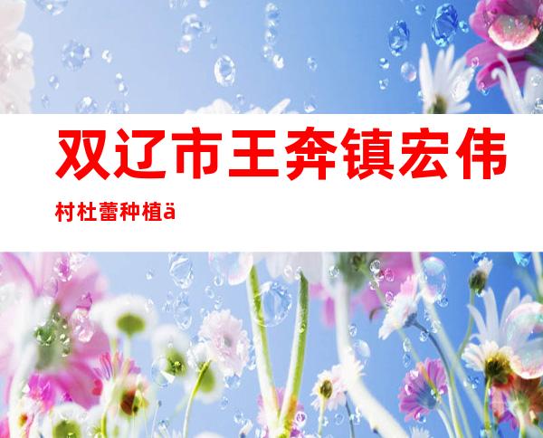 双辽市王奔镇宏伟村杜蕾种植专业合作社