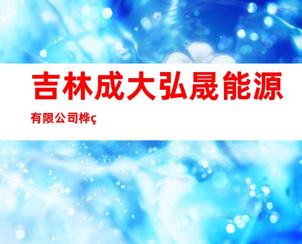 吉林成大弘晟能源有限公司桦甸油页岩三矿