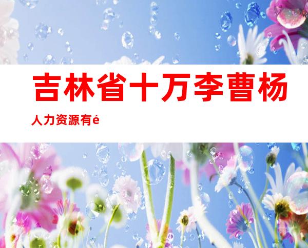 吉林省十万李曹杨人力资源有限公司