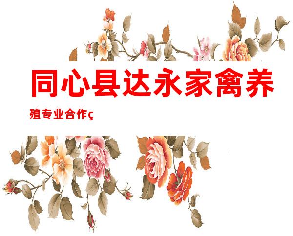 同心县达永家禽养殖专业合作社