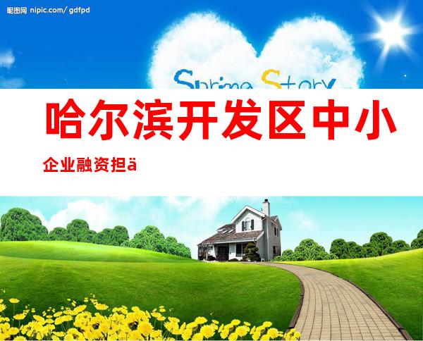 哈尔滨开发区中小企业融资担保有限公司