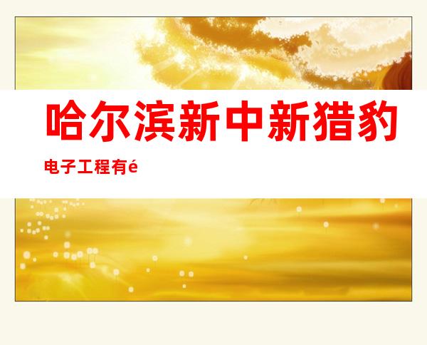 哈尔滨新中新猎豹电子工程有限公司