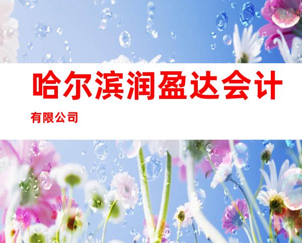 哈尔滨润盈达会计有限公司