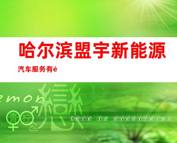 哈尔滨盟宇新能源汽车服务有限公司
