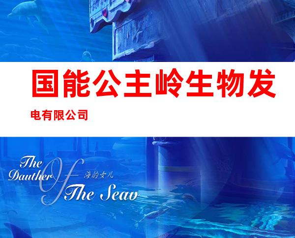 国能公主岭生物发电有限公司