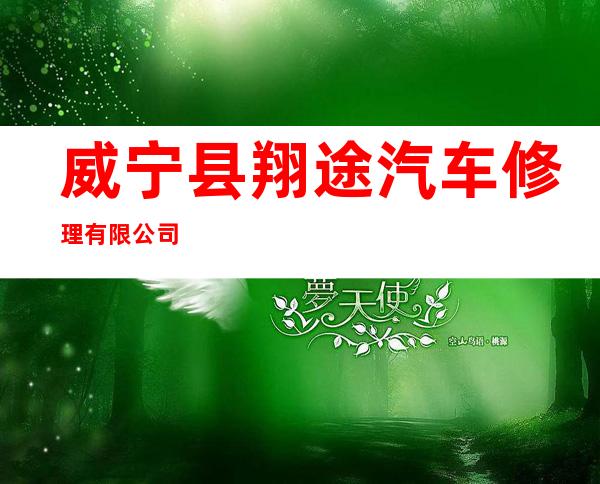 威宁县翔途汽车修理有限公司