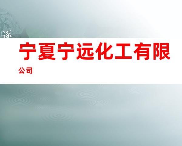 宁夏宁远化工有限公司