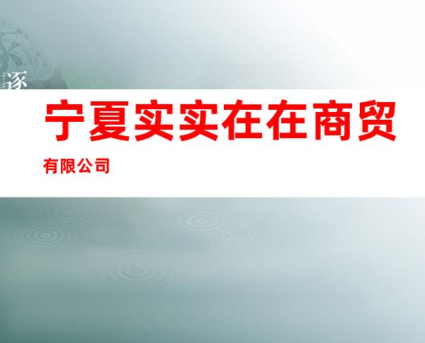 宁夏实实在在商贸有限公司