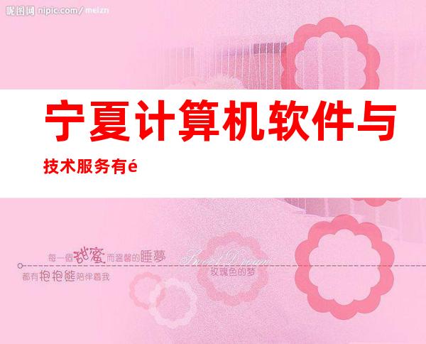 宁夏计算机软件与技术服务有限公司