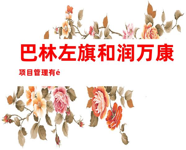 巴林左旗和润万康项目管理有限公司