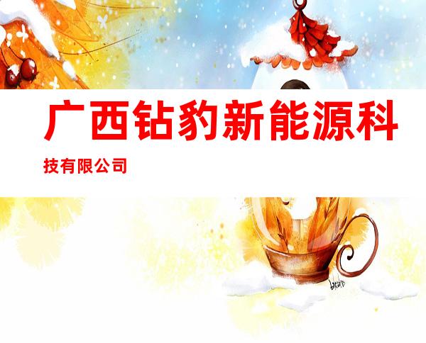 广西钻豹新能源科技有限公司