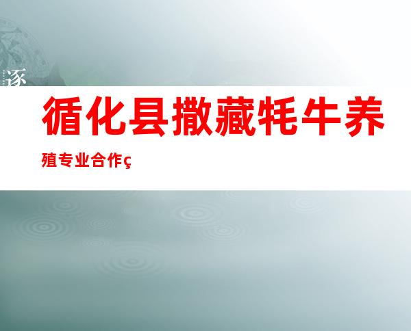 循化县撒藏牦牛养殖专业合作社