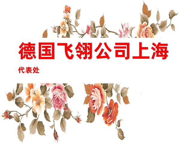 德国飞翎公司上海代表处