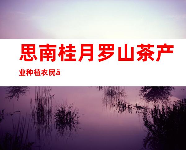 思南桂月罗山茶产业种植农民专业合作社