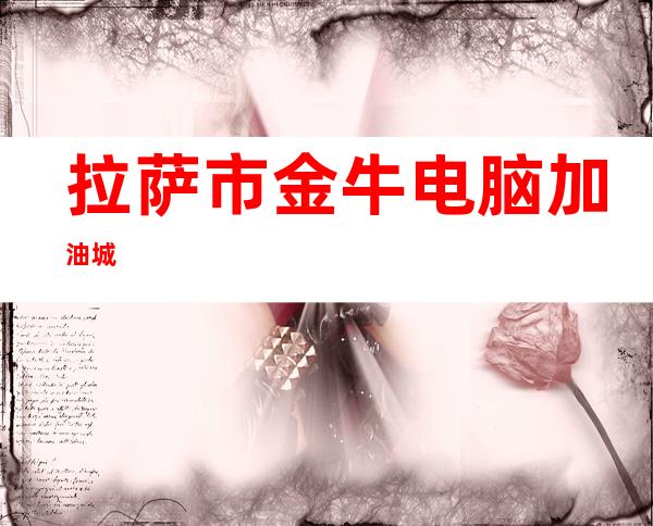 拉萨市金牛电脑加油城