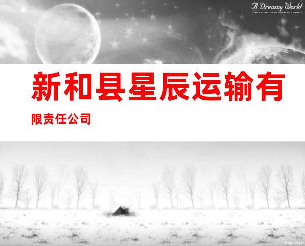 新和县星辰运输有限责任公司