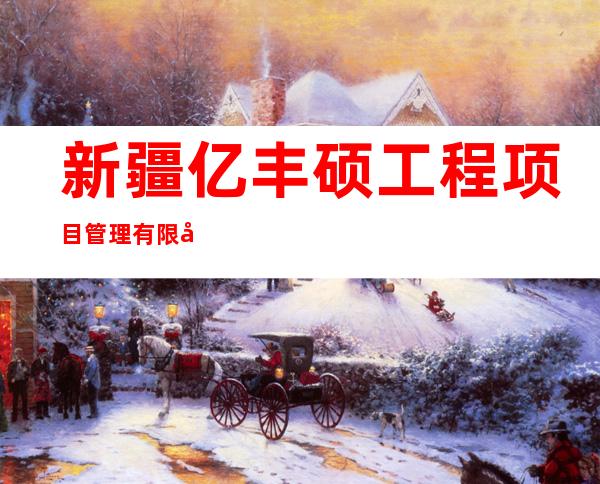 新疆亿丰硕工程项目管理有限公司