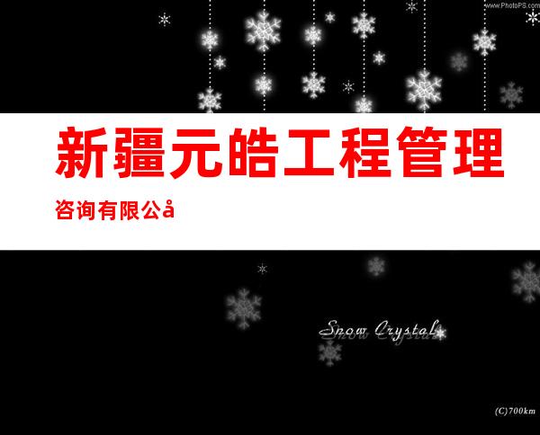 新疆元皓工程管理咨询有限公司