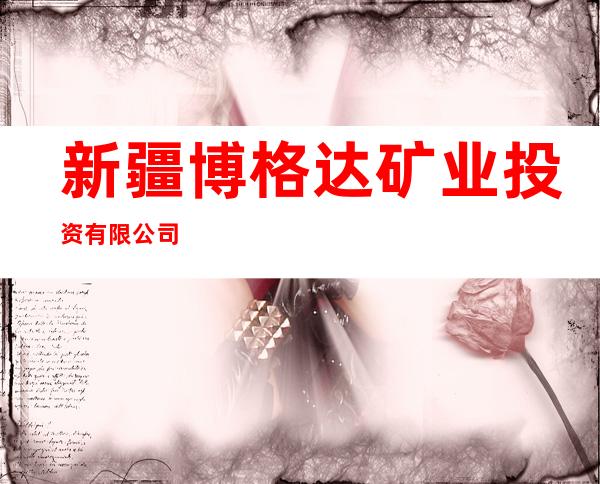新疆博格达矿业投资有限公司