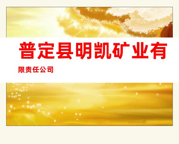 普定县明凯矿业有限责任公司