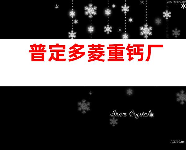 普定多菱重钙厂