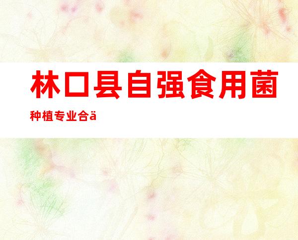 林口县自强食用菌种植专业合作社