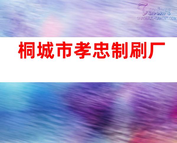 桐城市孝忠制刷厂