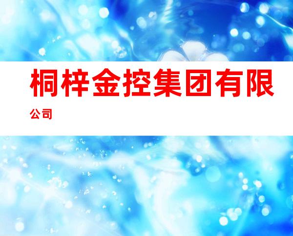 桐梓金控集团有限公司