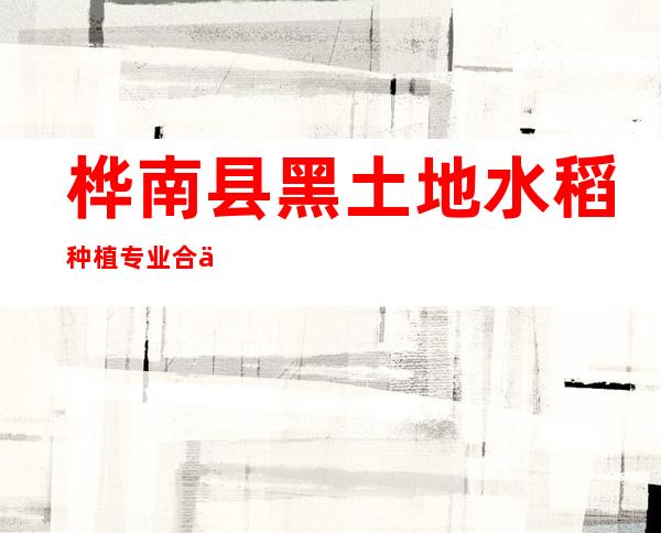 桦南县黑土地水稻种植专业合作社