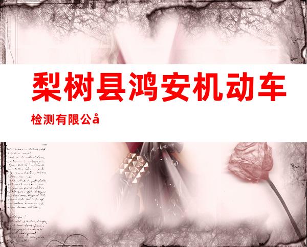 梨树县鸿安机动车检测有限公司