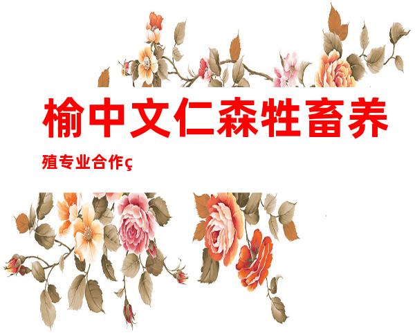 榆中文仁森牲畜养殖专业合作社