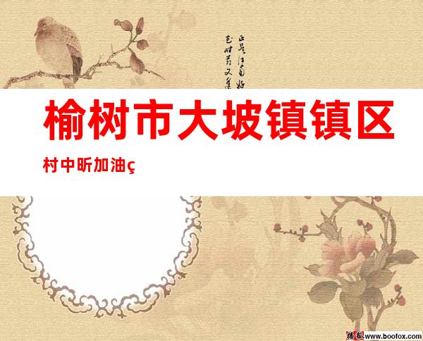 榆树市大坡镇镇区村中昕加油站
