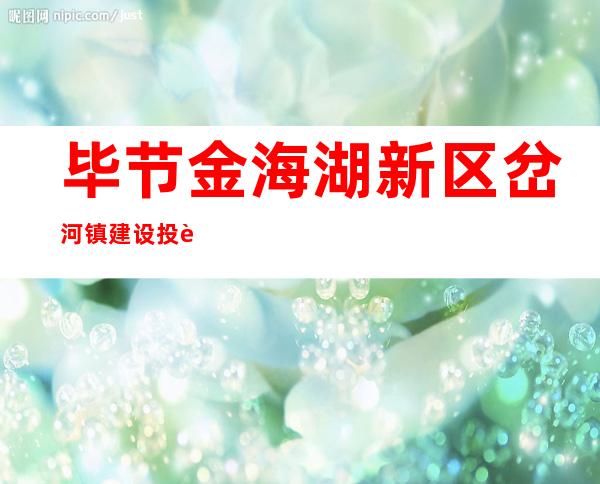 毕节金海湖新区岔河镇建设投资有限公司