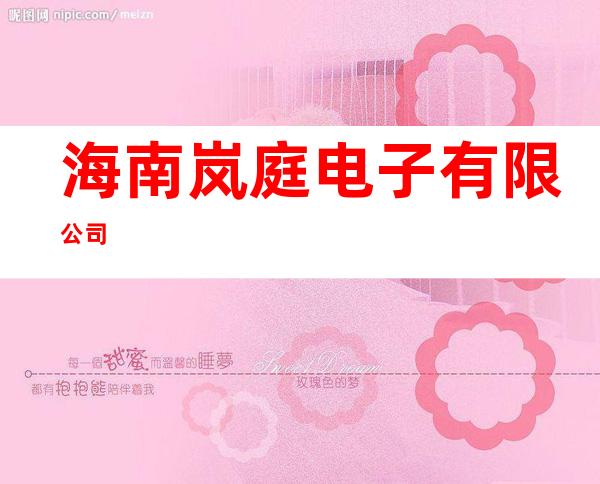 海南岚庭电子有限公司