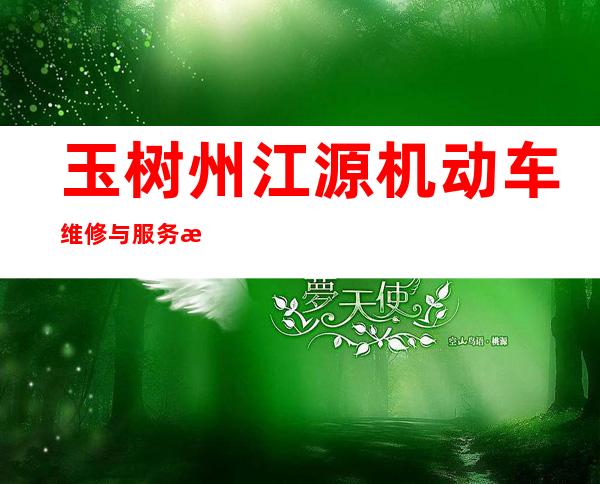 玉树州江源机动车维修与服务有限公司