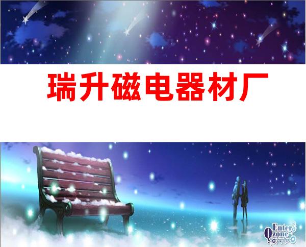瑞升磁电器材厂