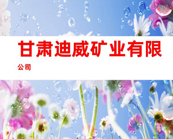 甘肃迪威矿业有限公司