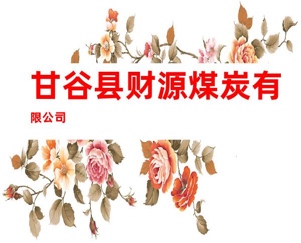 甘谷县财源煤炭有限公司
